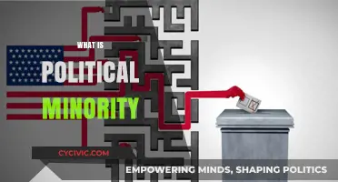 Understanding Political Minorities: Representation, Challenges, and Rights Explained