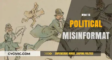 Understanding Political Misinformation: Causes, Impact, and Strategies to Combat It