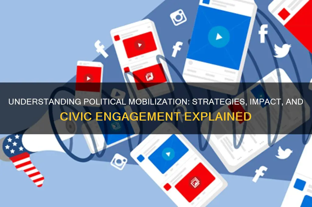 what is political mobilization