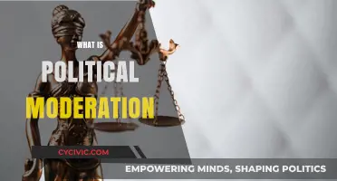 Understanding Political Moderation: Balancing Ideologies in a Polarized World