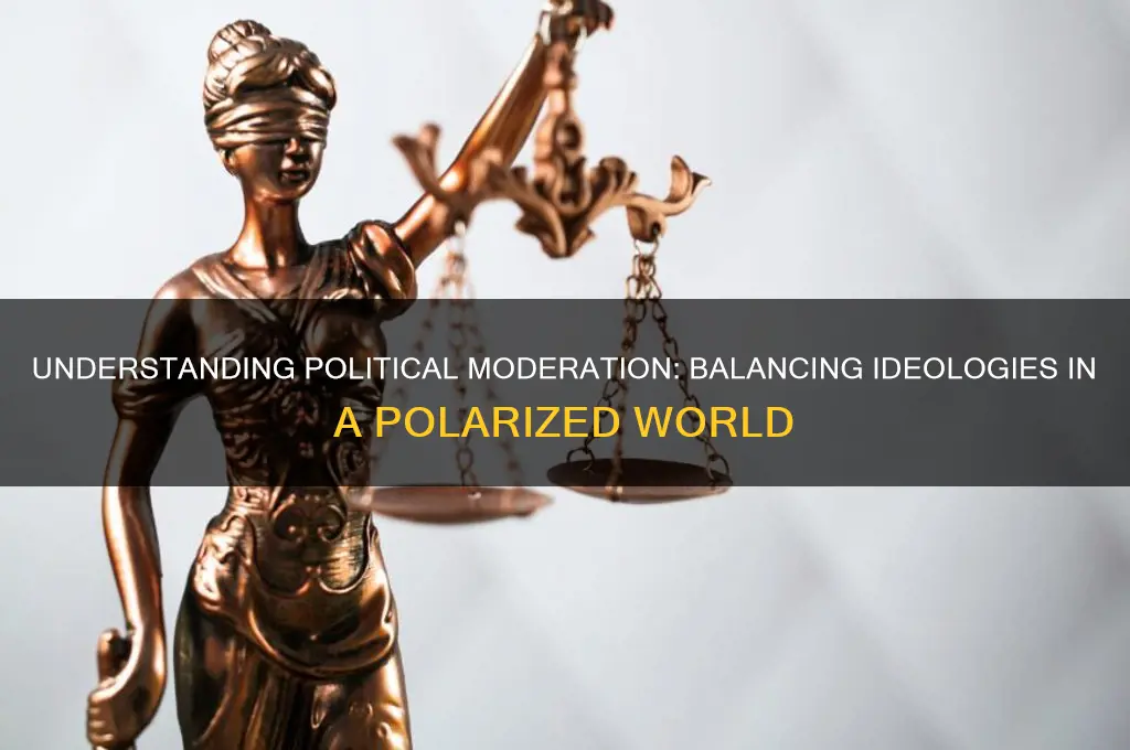 what is political moderation