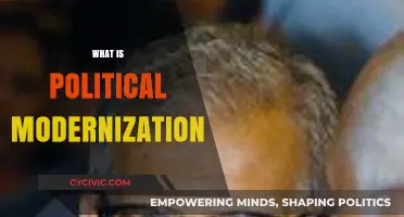Understanding Political Modernization: Transforming Governance in the Contemporary Era
