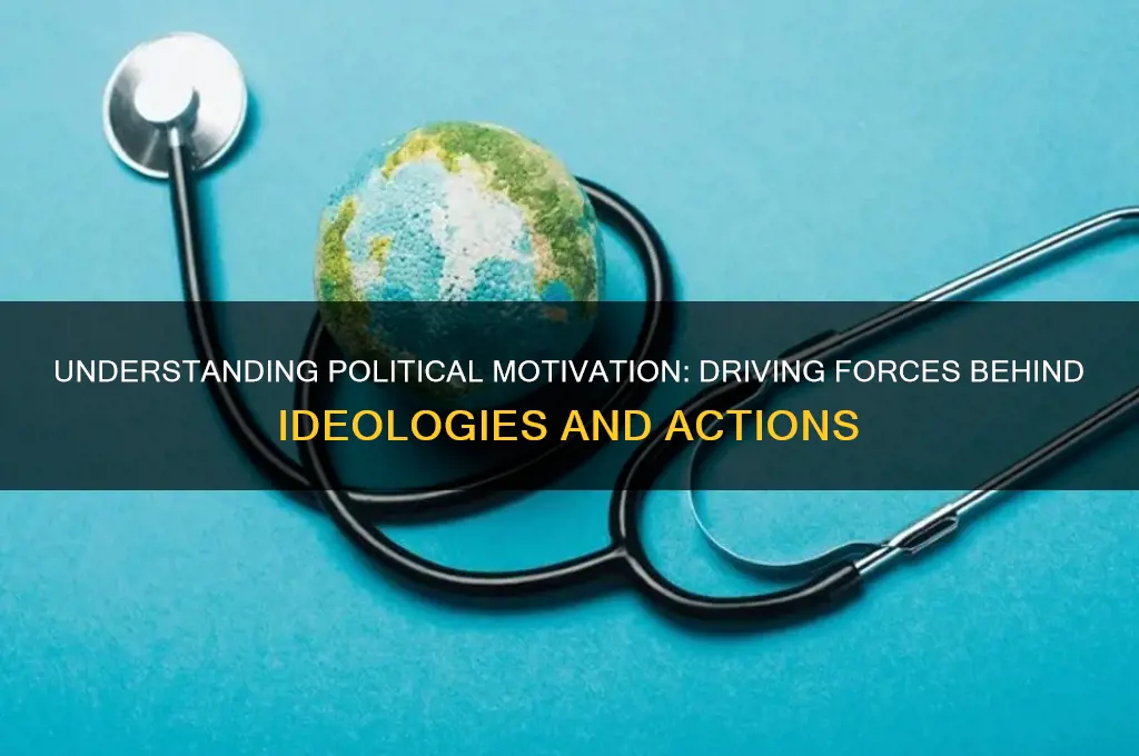 what is political motivation