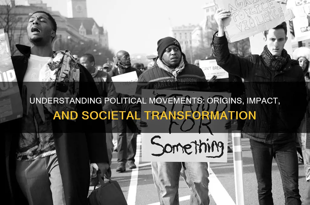 what is political movement