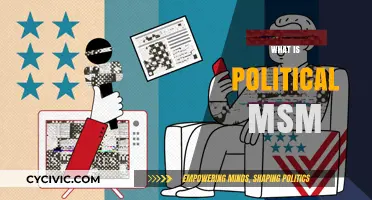 Understanding Political MSM: Its Role, Influence, and Impact on Society