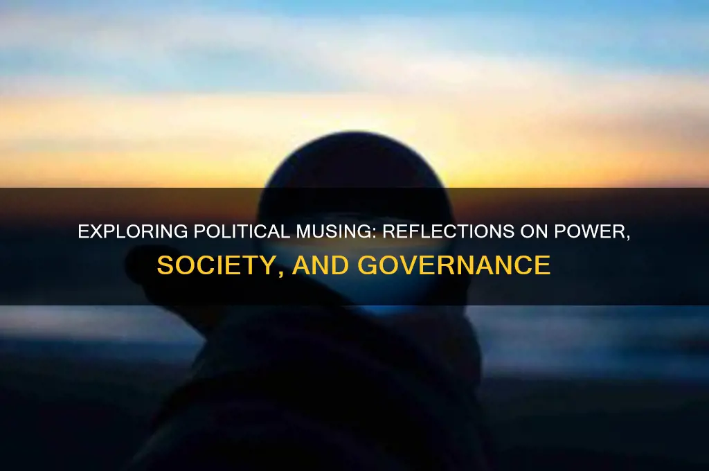 what is political musing