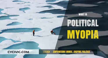 Understanding Political Myopia: Short-Sighted Policies and Their Long-Term Consequences