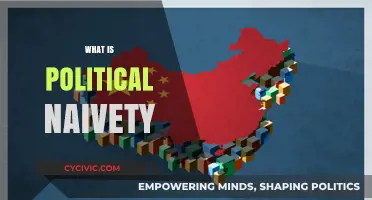 Understanding Political Naivety: Causes, Consequences, and Real-World Implications