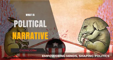 Understanding Political Narratives: Shaping Public Opinion and Policy Agendas