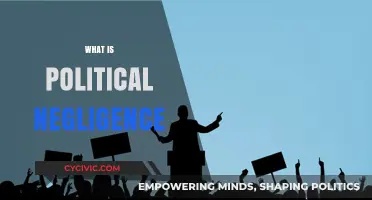 Understanding Political Negligence: Causes, Consequences, and Accountability
