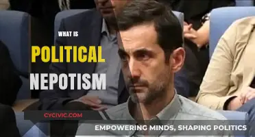 Understanding Political Nepotism: Causes, Effects, and Real-World Examples
