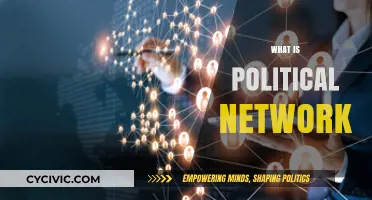 Understanding Political Networks: Connections, Influence, and Power Dynamics Explained