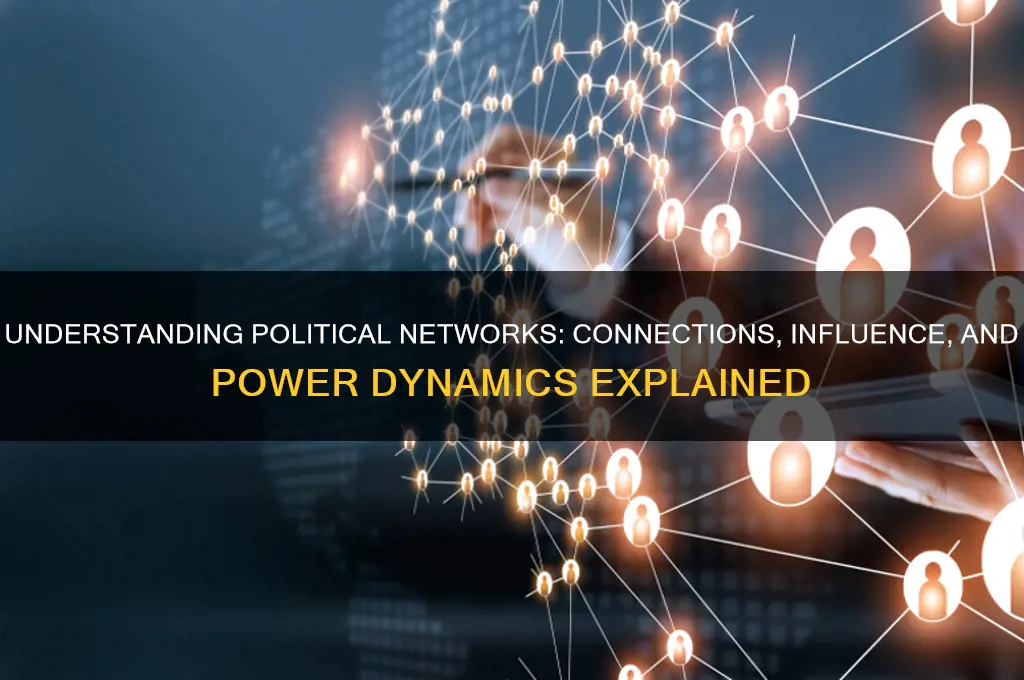 what is political network