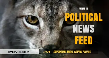 Understanding Political News Feeds: Sources, Impact, and Media Influence