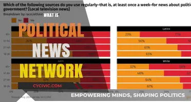 Understanding Political News Networks: Role, Impact, and Influence in Media