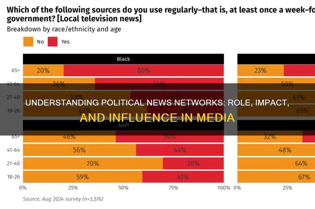 what is political news network