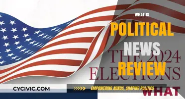 Understanding Political News Reviews: A Comprehensive Guide to Media Analysis