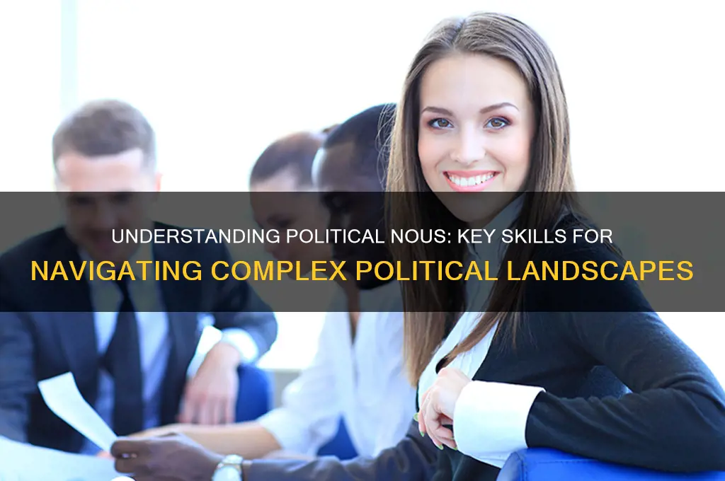 what is political nous