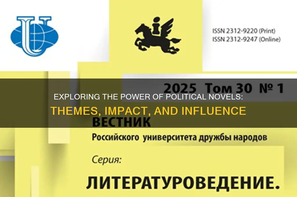 what is political novel