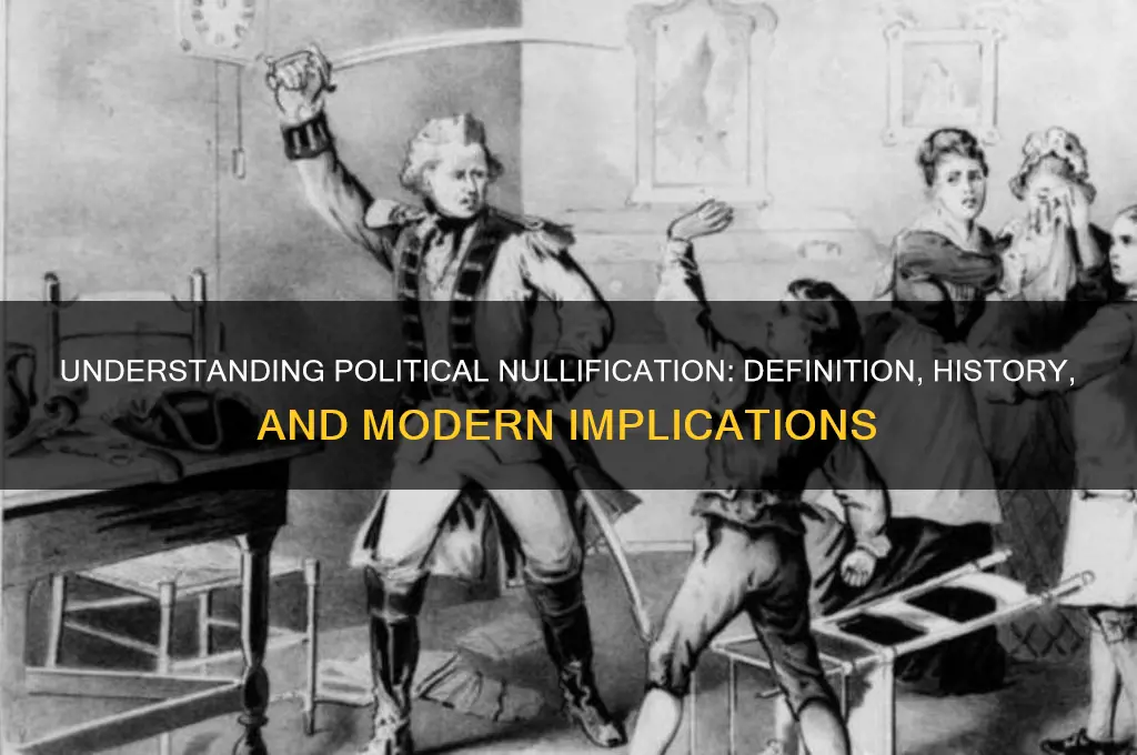 what is political nullification