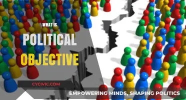 Understanding Political Objectives: Goals, Strategies, and Societal Impact Explained