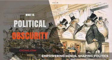 Unveiling Political Obscurity: Understanding Its Impact on Governance and Society