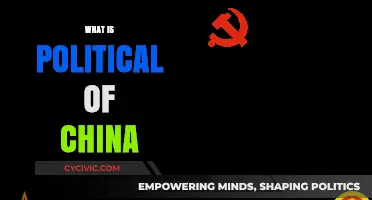 Understanding China's Political System: Structure, Ideology, and Global Influence