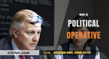 Understanding the Role and Influence of a Political Operative