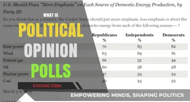 Understanding Political Opinion Polls: Insights, Influence, and Accuracy Explained
