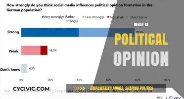 Understanding Political Opinion: Formation, Influence, and Societal Impact Explained