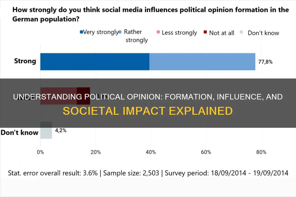 what is political opinion