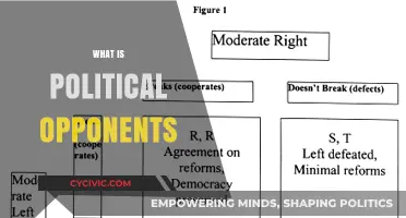 Understanding Political Opponents: Roles, Impact, and Democratic Dynamics Explained