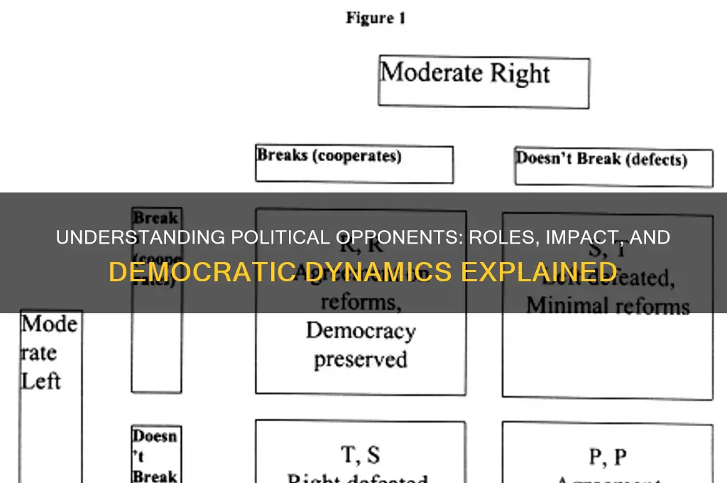 what is political opponents
