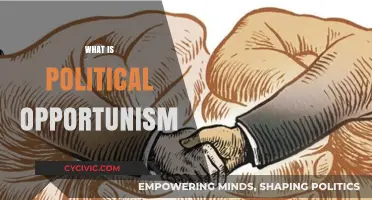 Understanding Political Opportunism: Tactics, Impact, and Ethical Implications