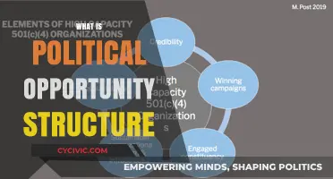 Understanding Political Opportunity Structure: Key Concepts and Real-World Applications