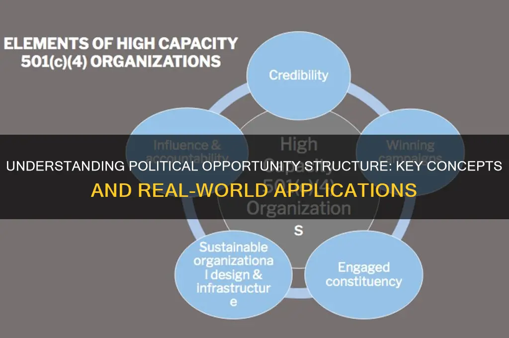 what is political opportunity structure