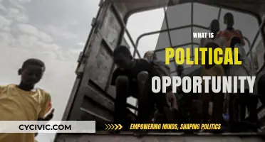 Understanding Political Opportunity: Structures, Strategies, and Social Movements