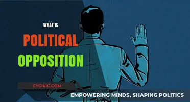 Understanding Political Opposition: Role, Importance, and Impact on Democracy