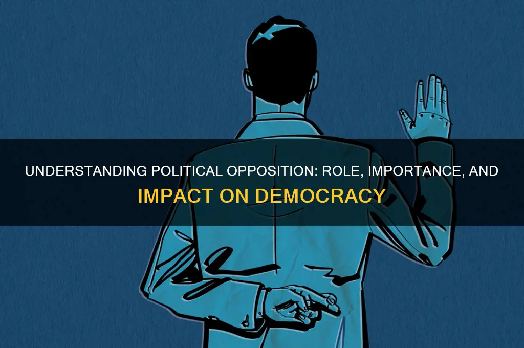 what is political opposition