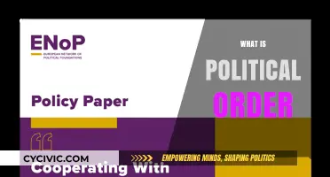 Understanding Political Order: Foundations, Stability, and Societal Governance Explained