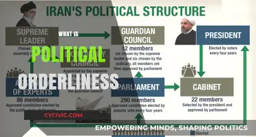 Understanding Political Orderliness: Structure, Stability, and Societal Governance Explained