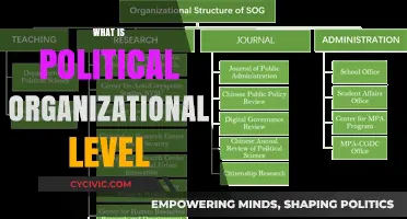 Understanding Political Organizational Levels: Structure, Roles, and Influence Explained