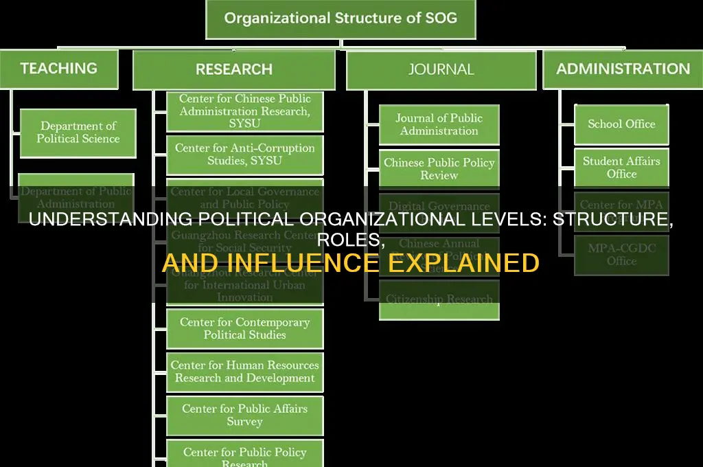 what is political organizational level