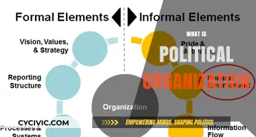Understanding Political Organizations: Structure, Roles, and Influence in Society