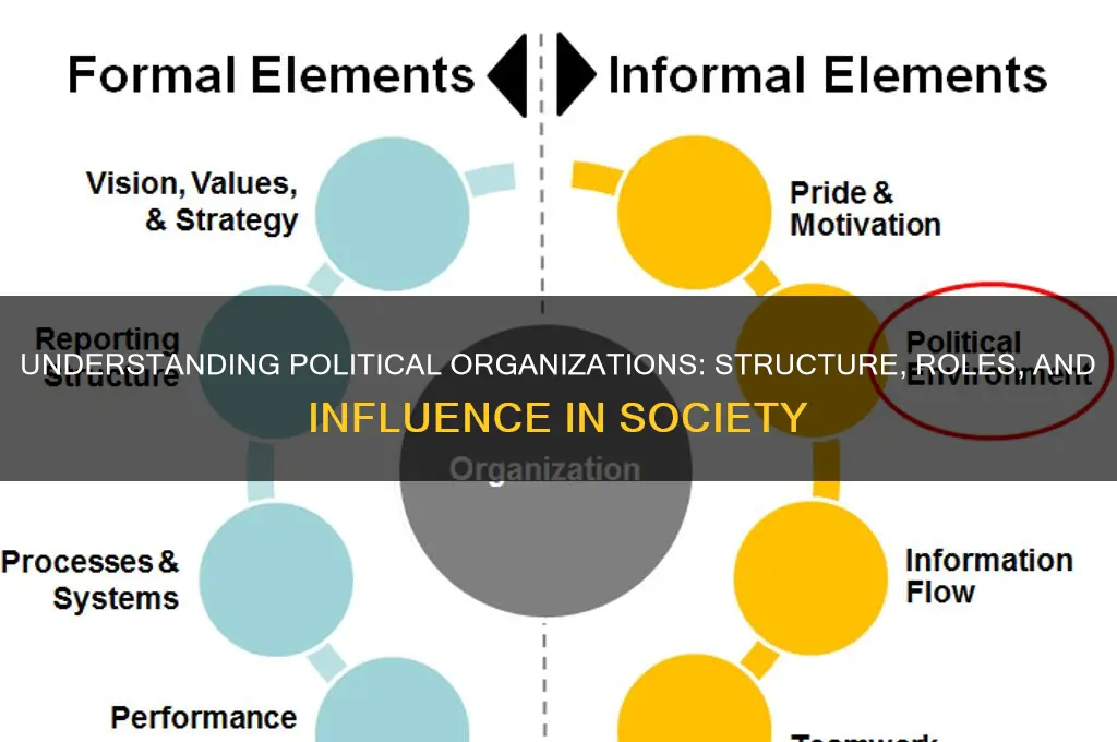 what is political organizations