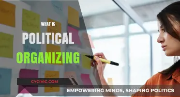 Understanding Political Organizing: Strategies, Impact, and Community Engagement