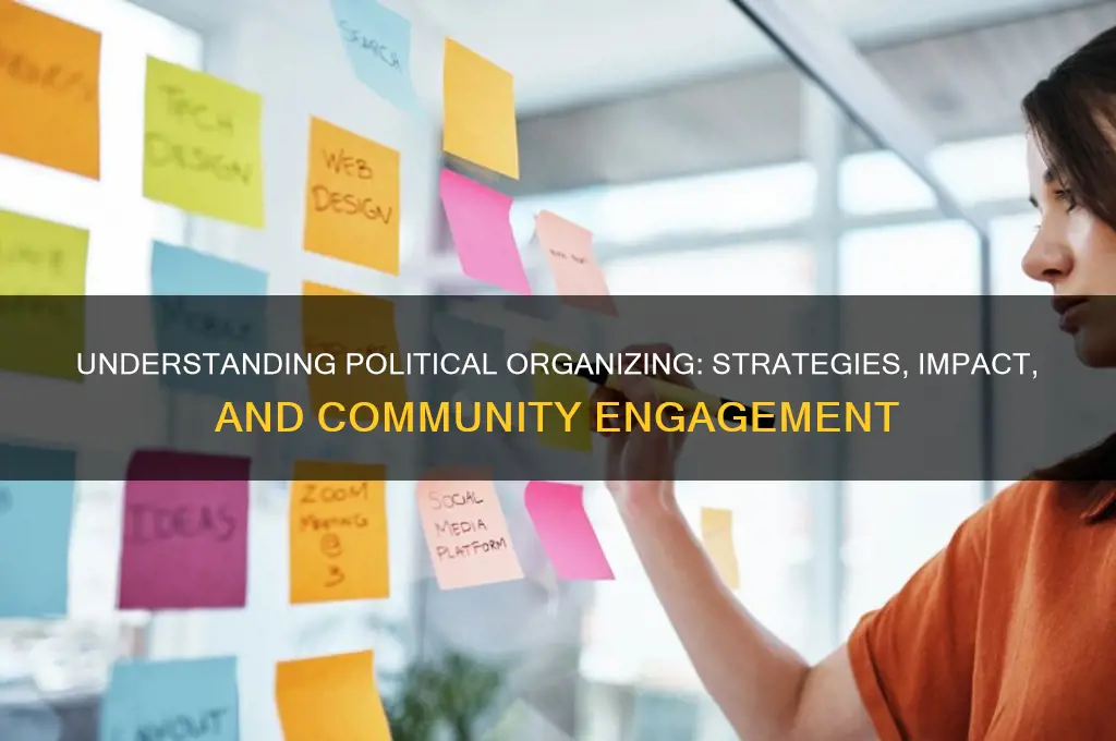 what is political organizing
