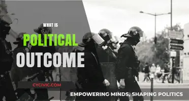 Understanding Political Outcomes: Causes, Impacts, and Real-World Implications