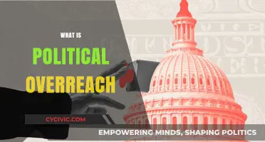 Understanding Political Overreach: Causes, Consequences, and Real-World Examples