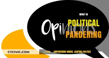 Understanding Political Pandering: Tactics, Impact, and Real-World Examples